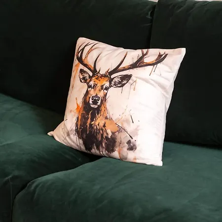 Apartamento Duplex Cosy Appt, Location